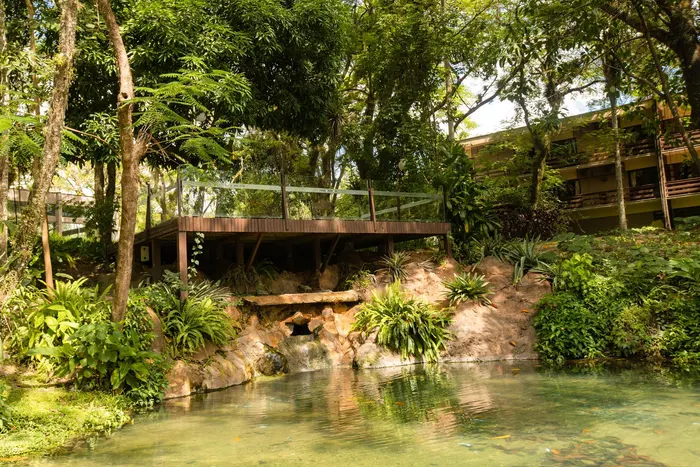 Bosque Ponte