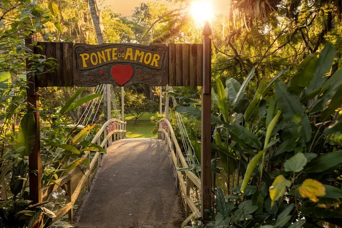 Bosque Ponte Do Amor